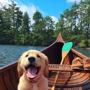 Meet your Posher, Jack